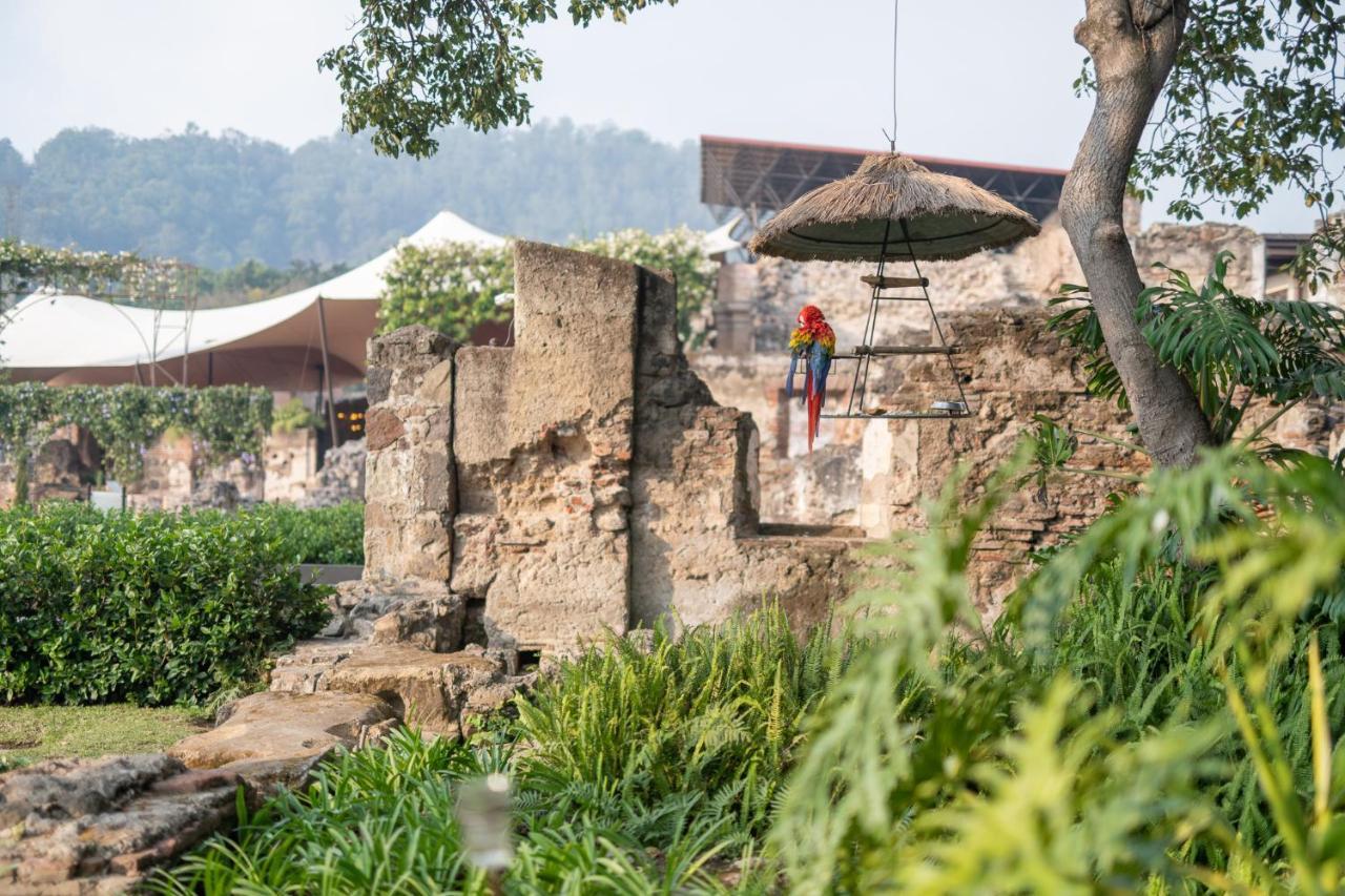 Hotel Museo Spa Casa Santo Domingo Antigua Esterno foto The ruins of the old zoo